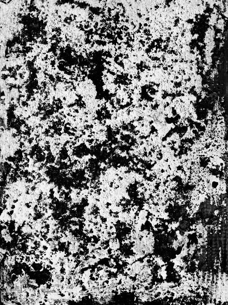 Abstract Artwork Greyscale #5