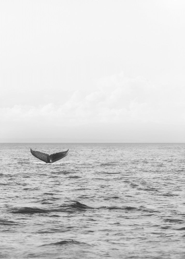 Ocean's Goodbye