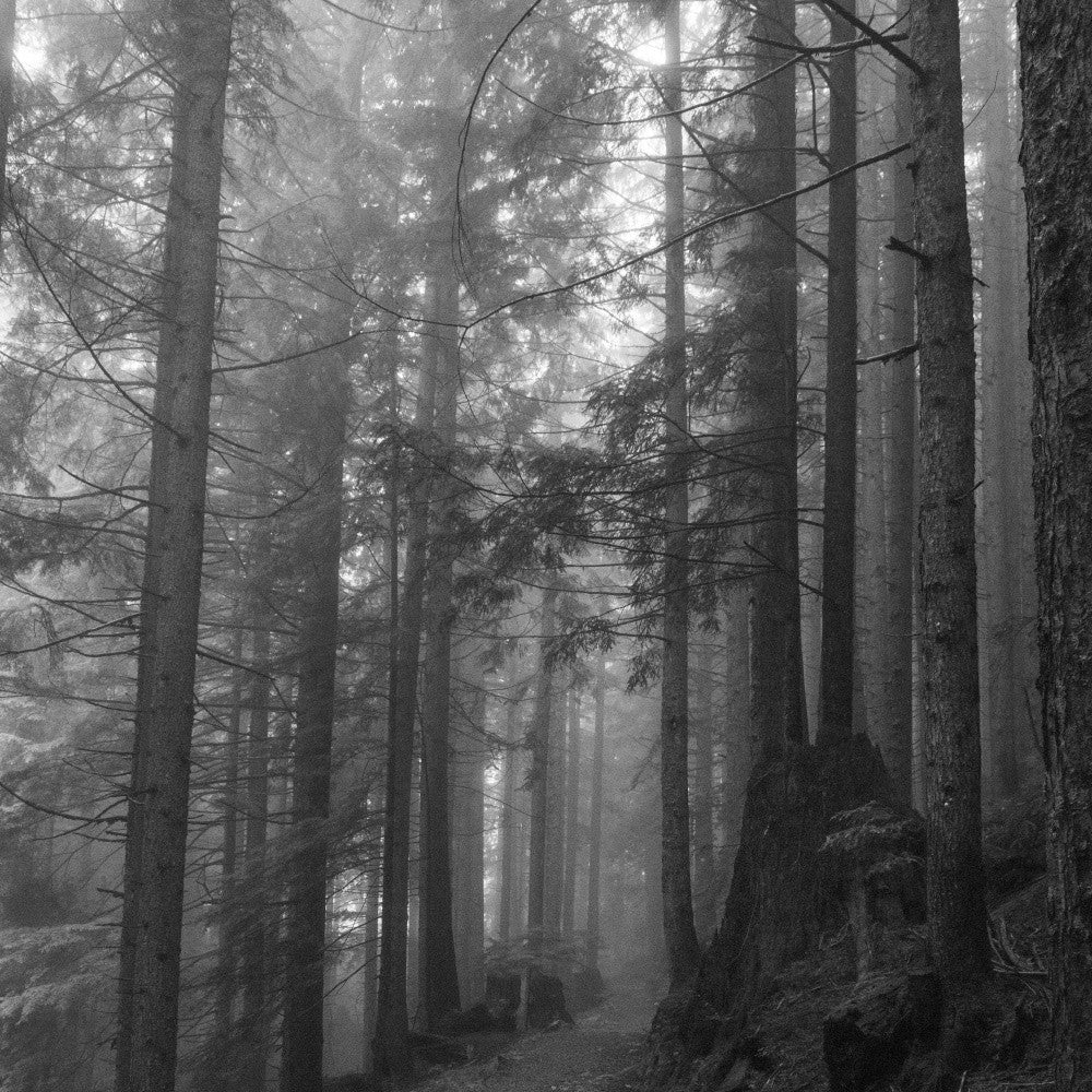 Mystic Pathway