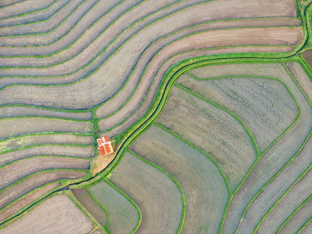 Rice Terrace at Sunset