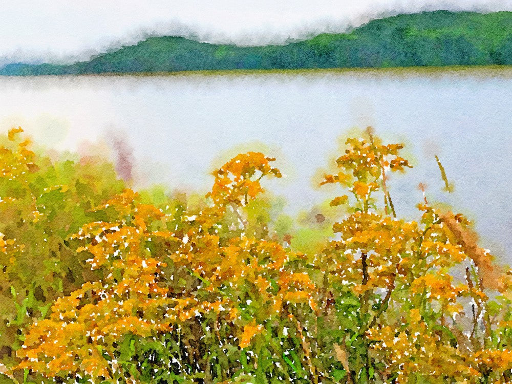 Autumn Wildflowers By the Lake