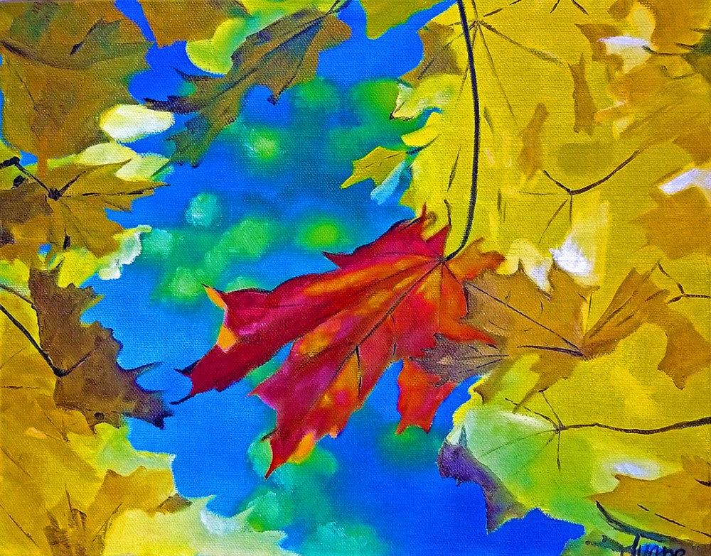 Rot 1