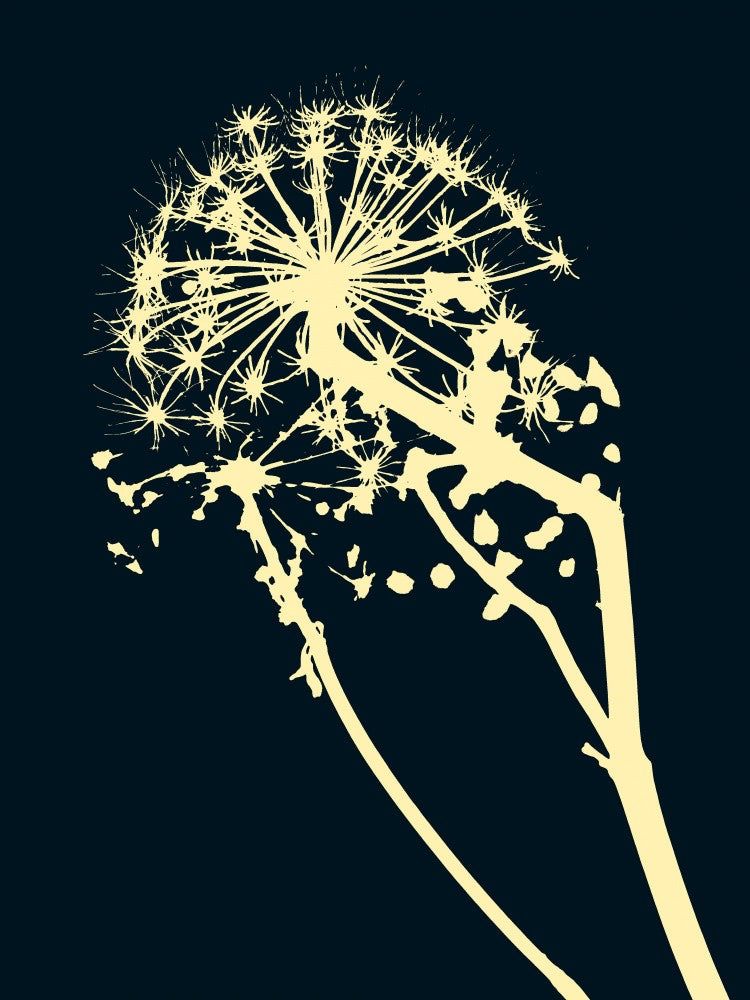 Silhouette Blossom