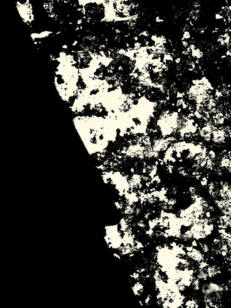 Striking Black and White Texture