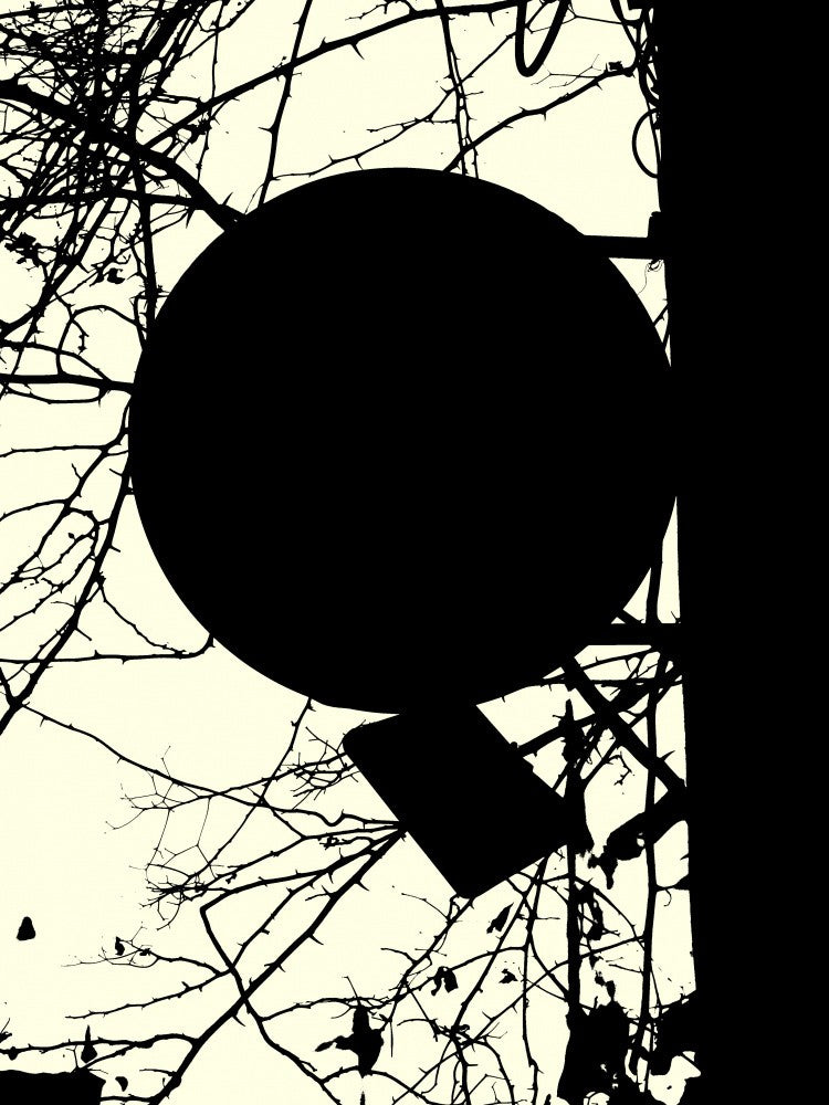 Silhouette Branches
