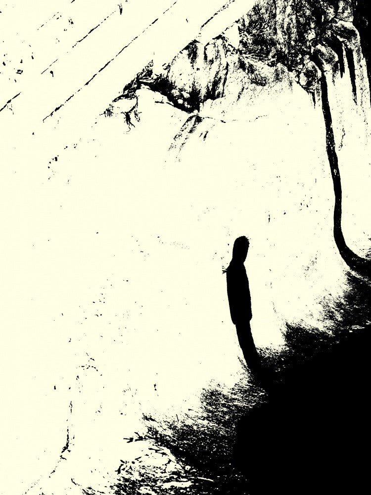 Shadowed Silence