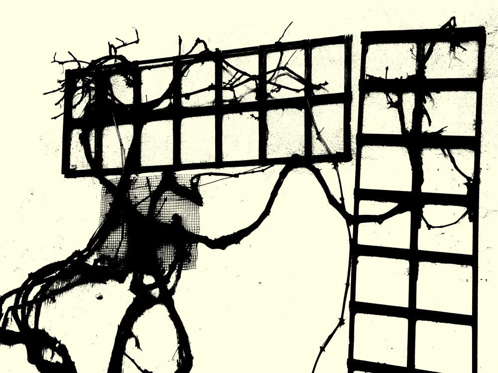 Tangled Grid Shadows