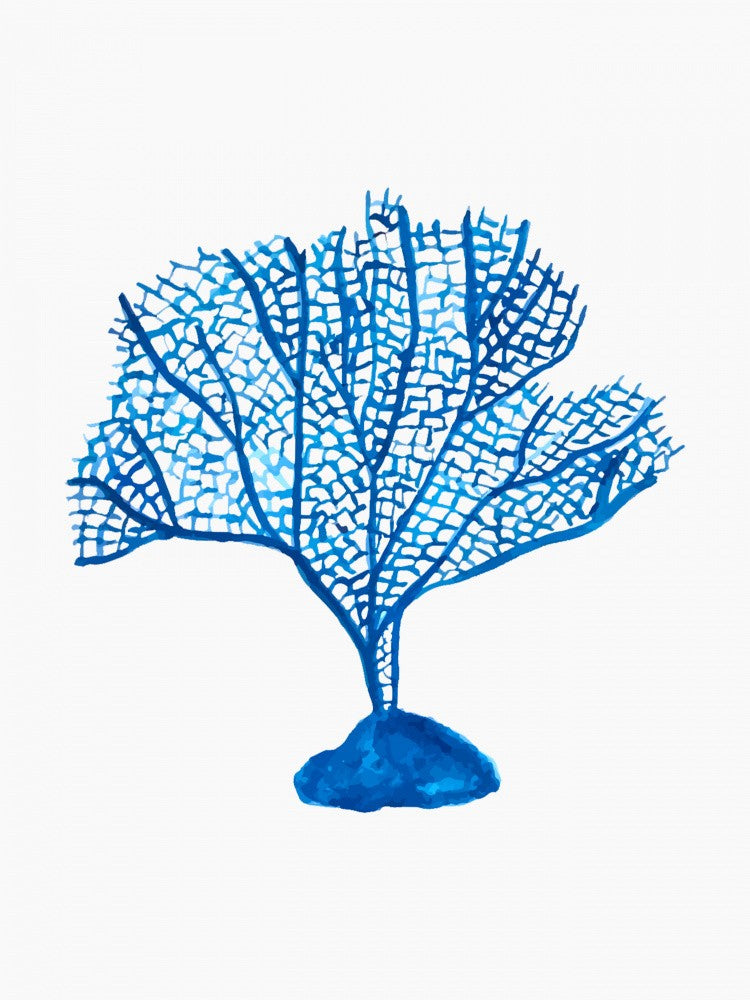 Árbol Coral