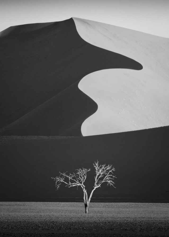 Light & shadow