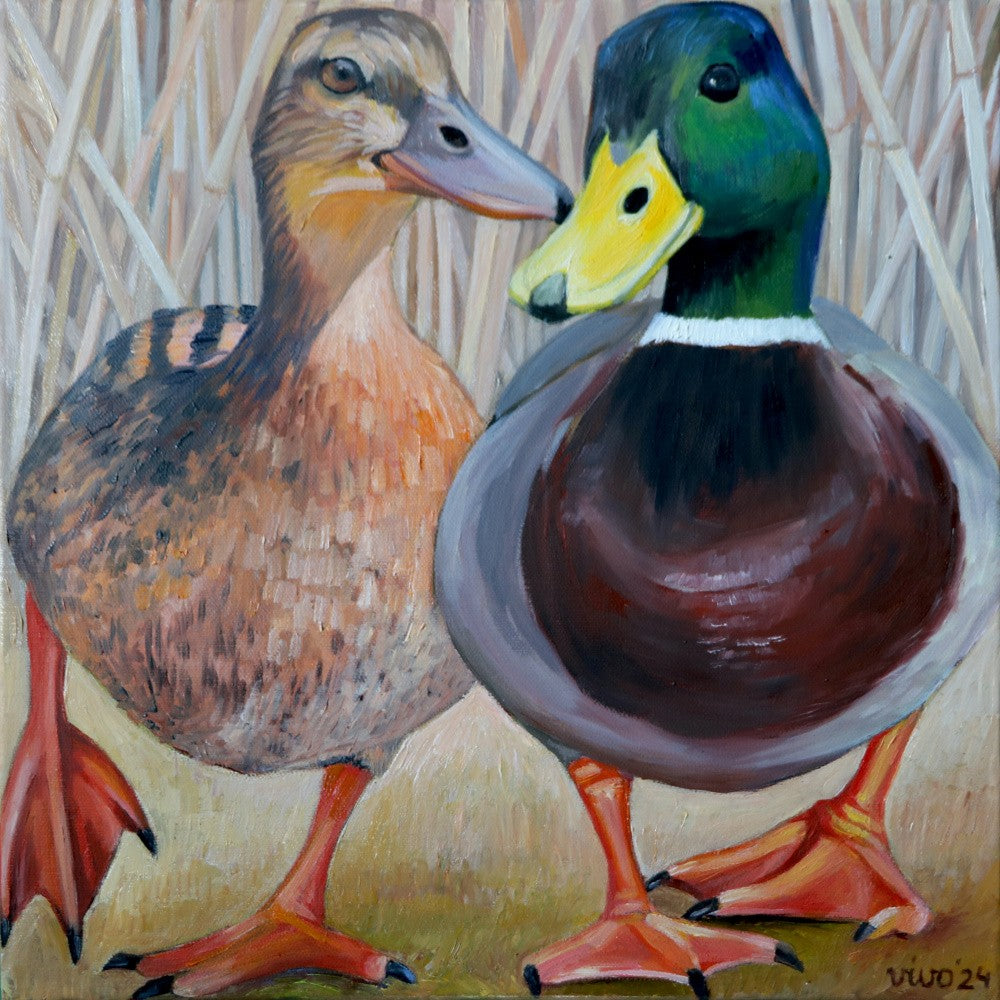 The Duck Couple