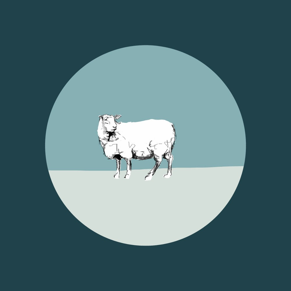 A Very Modern Sheep 1
