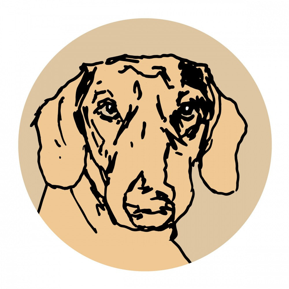 Un Chien Saucisse Très Moderne à Pois 2