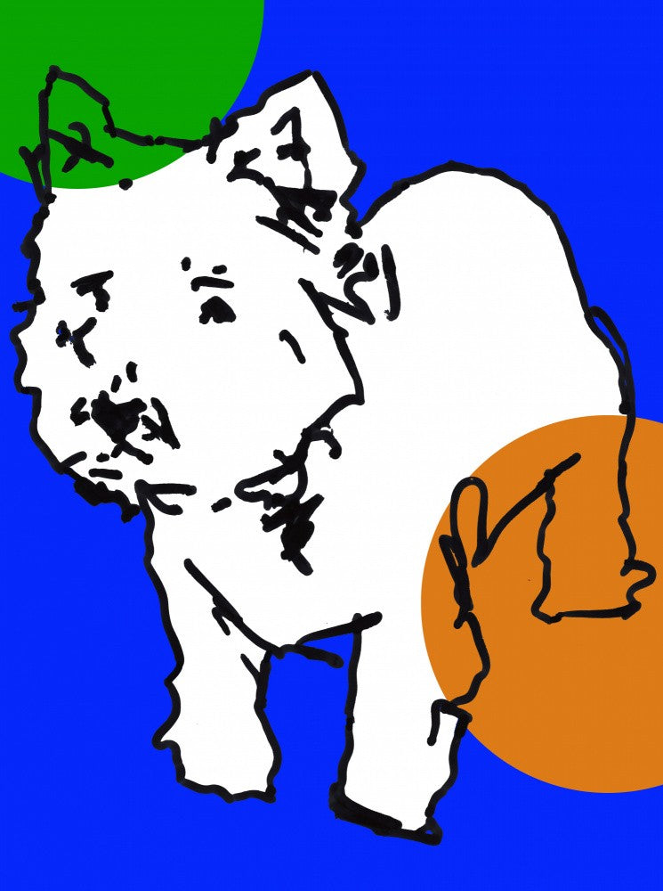 Un Westie Très Moderne à Pois 1