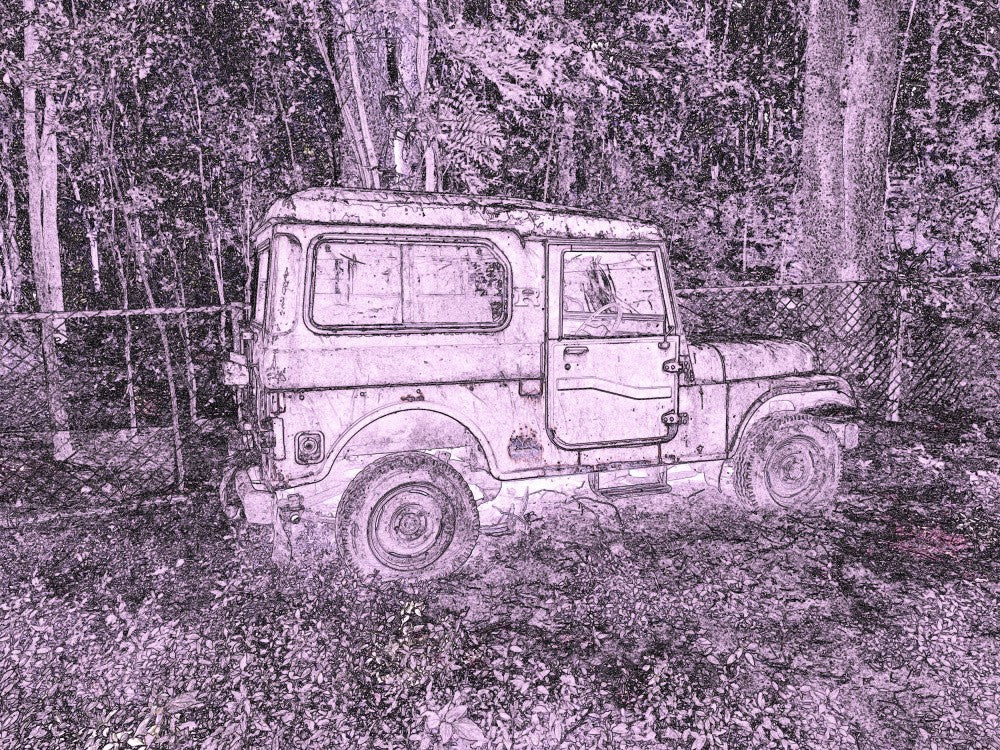 Rustic Wilderness