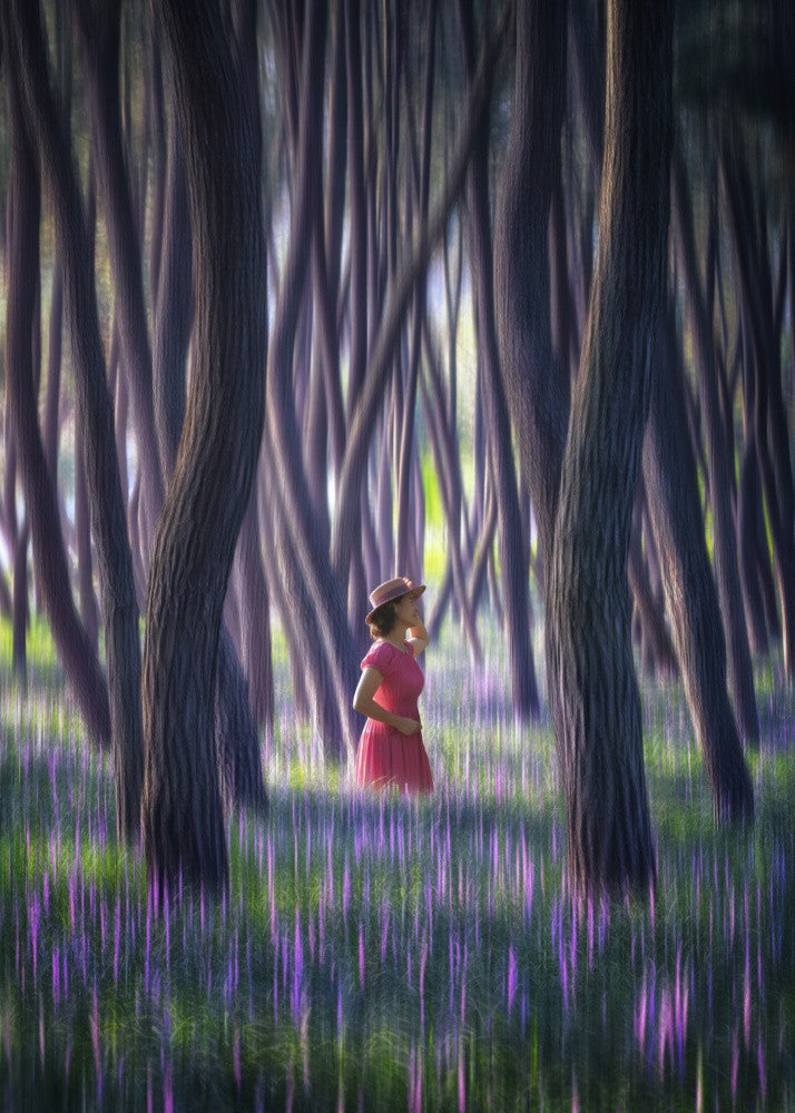 Summer morning