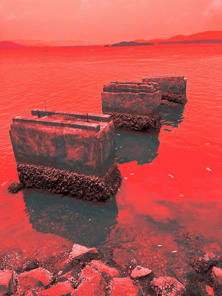 Crimson Reflections