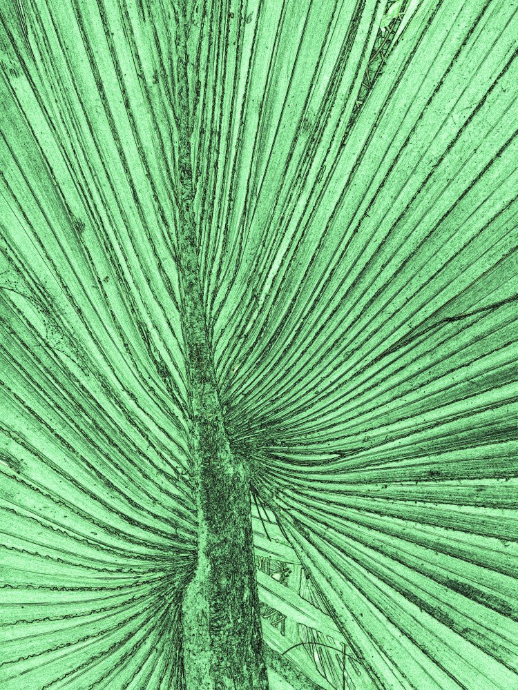 Verdant Striations