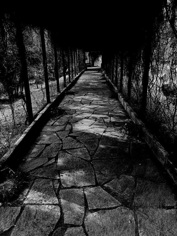 Stone Path Shadows