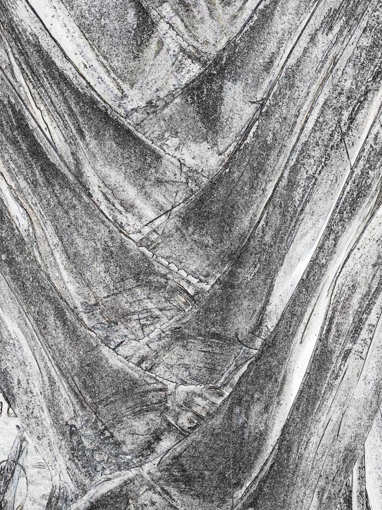 Textured Stone Path