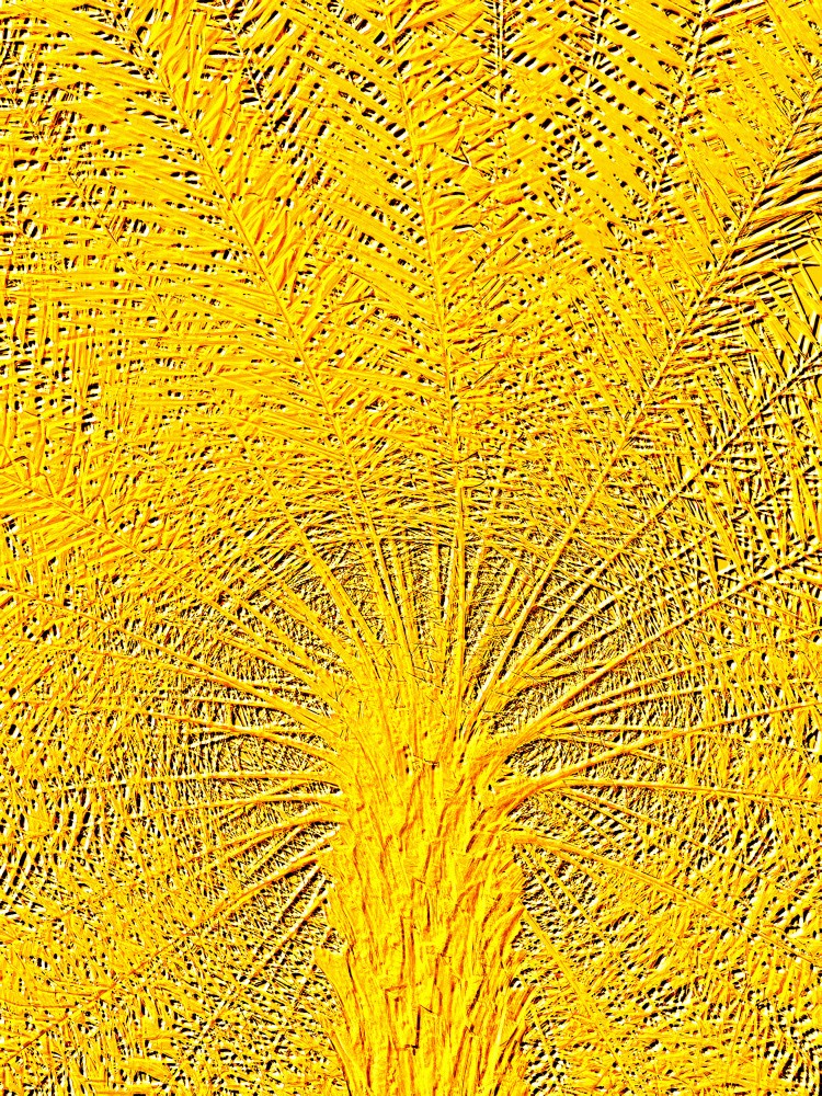 Golden Fronds Burst