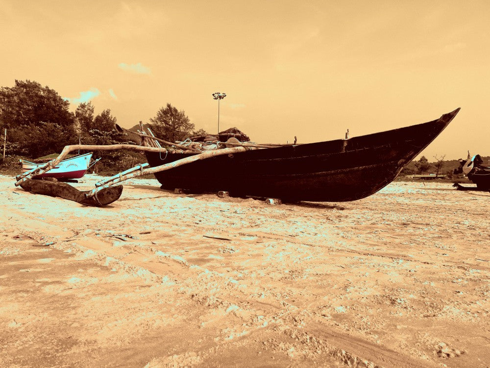 Seaside Serenity