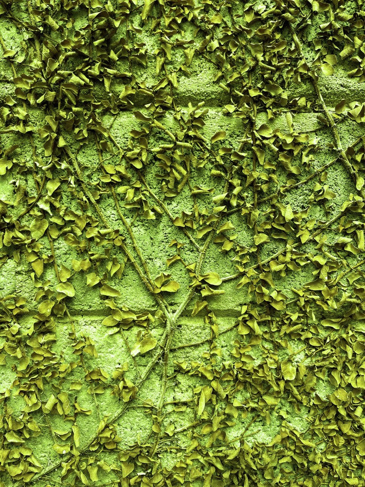 Verdant Wall Maze