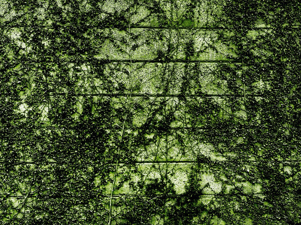 Verdant Embrace