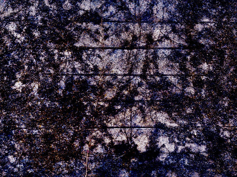Shadowed Leaves Maze