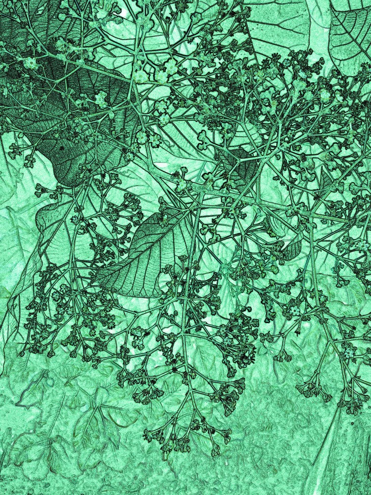 Verdant Blooming