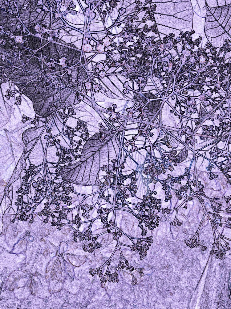 Violette Verstrickung