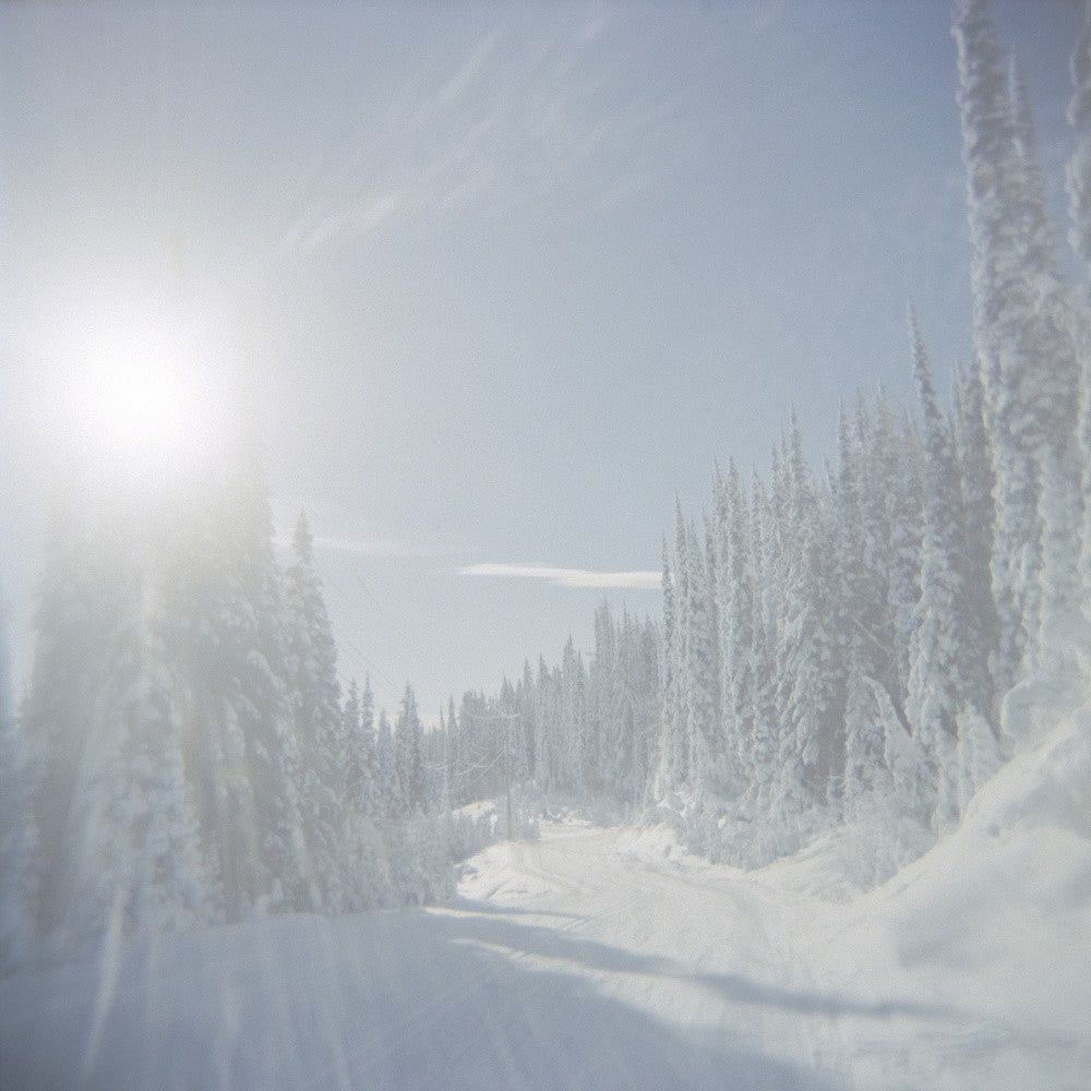 Winter Radiance