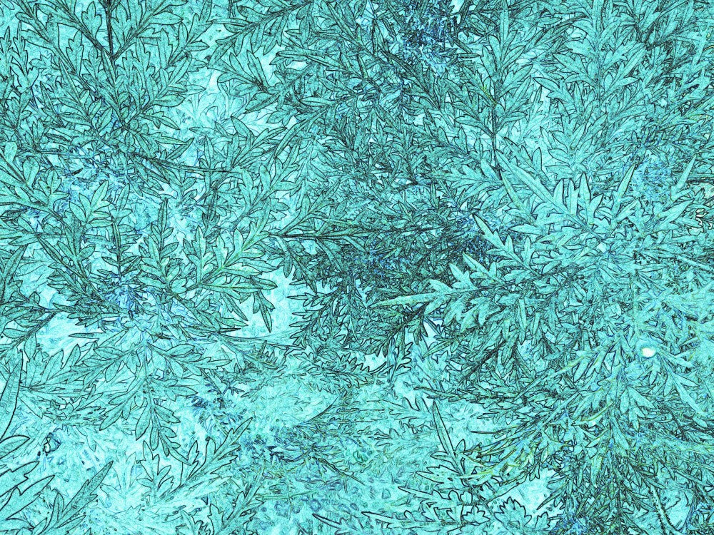 Aquatic Leaf Dance