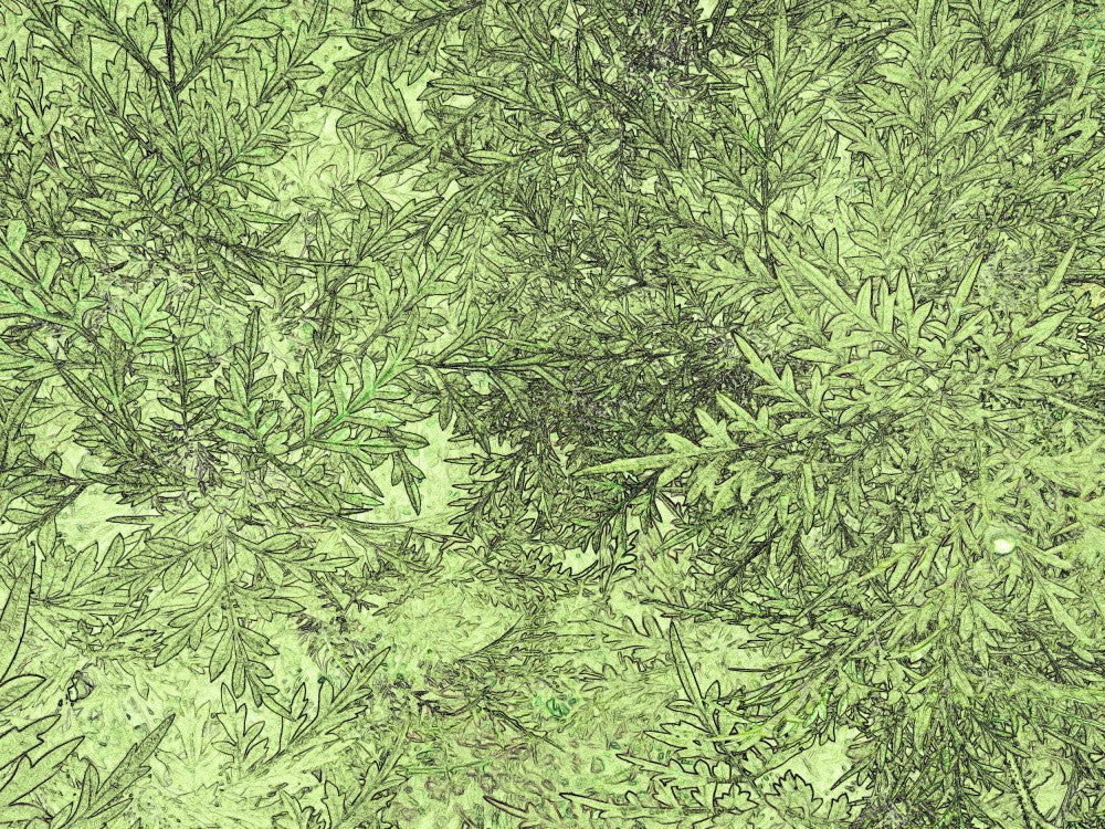 Verdant Whispers