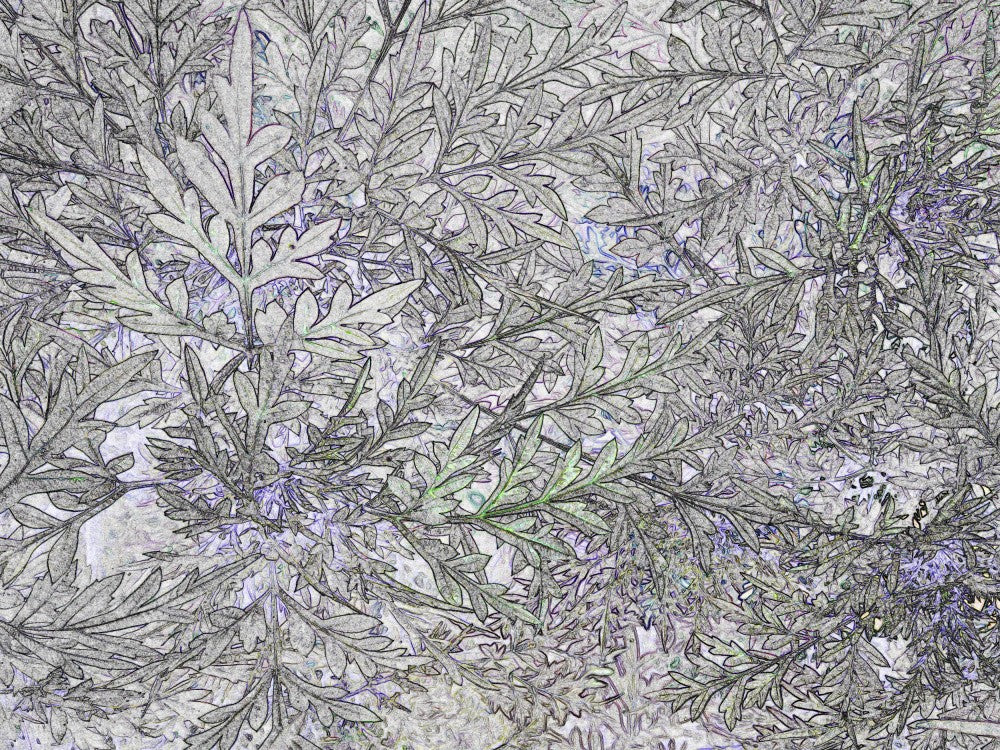 Leafy Whispers