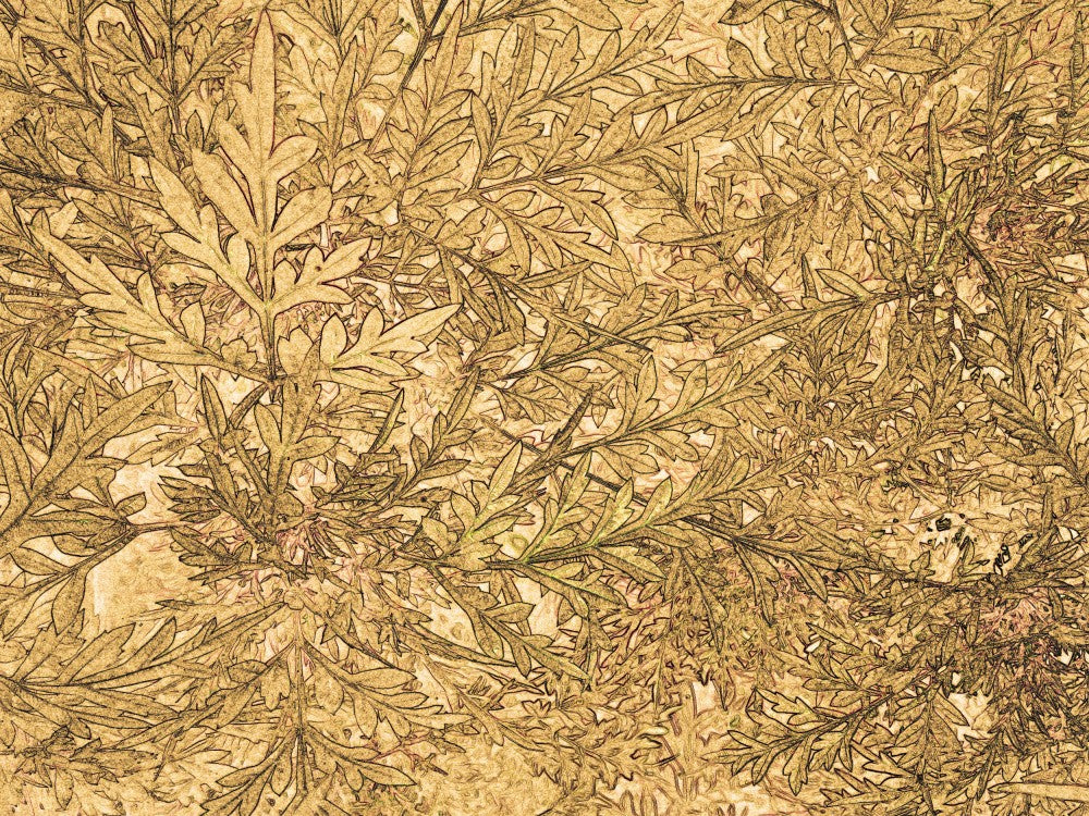 Golden Foliage Maze