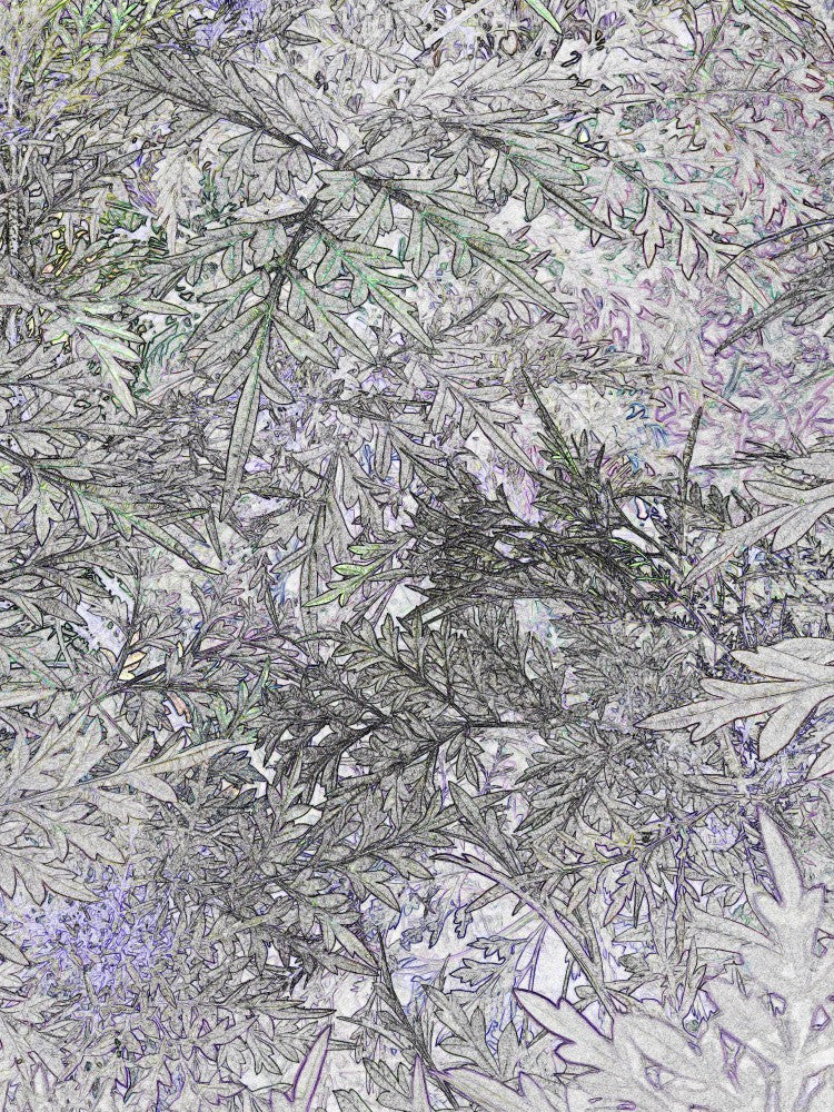 Whispering Foliage