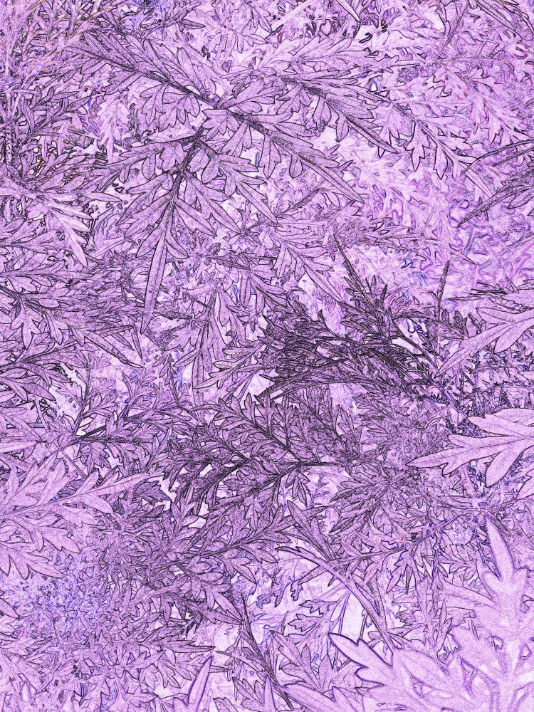Purple Leaf Tapestry