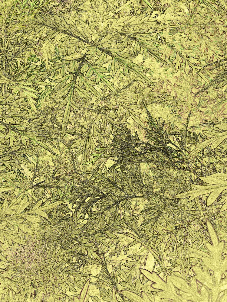 Verdant Leaf Dance