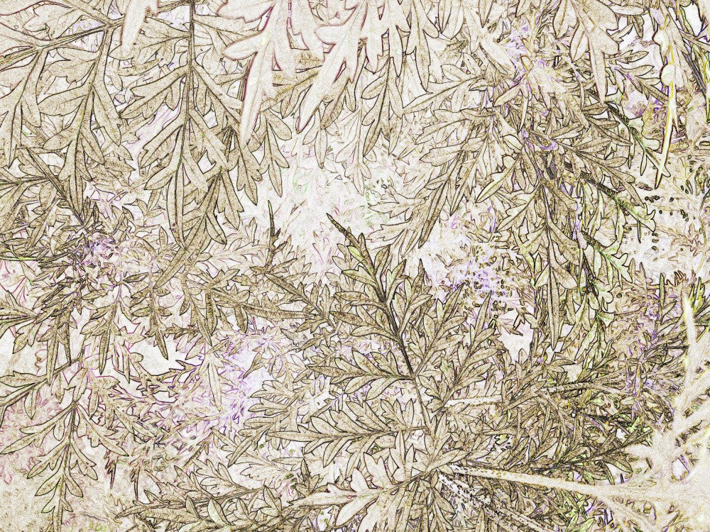 Whispering Leaves