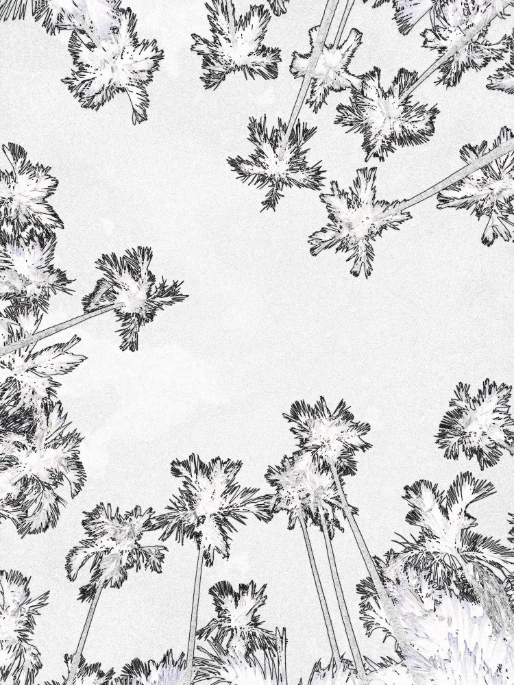 Palm Canopy Dreams