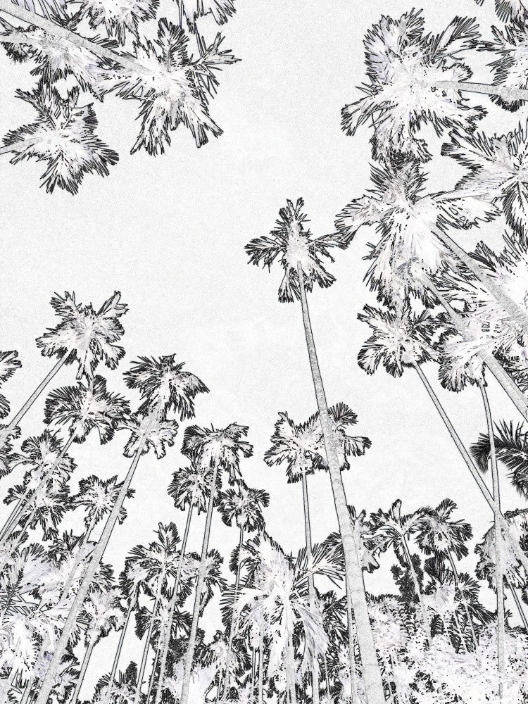 Tropical Silhouettes