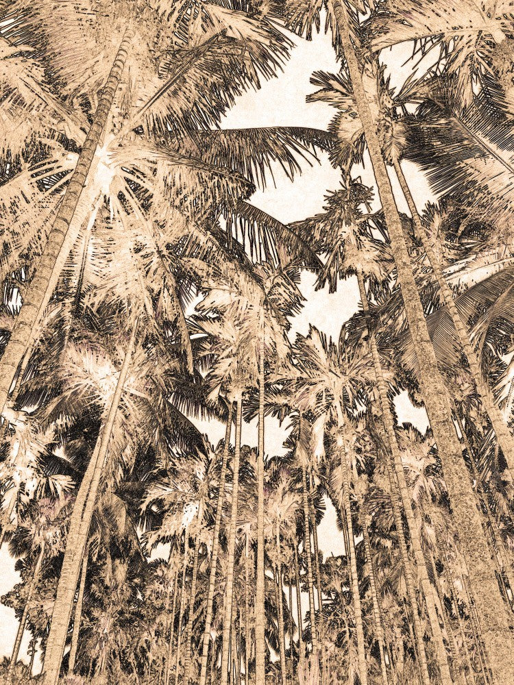 Tropical Canopy Dream