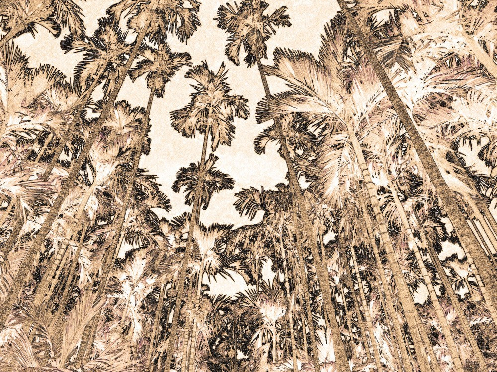 Treetops Reach