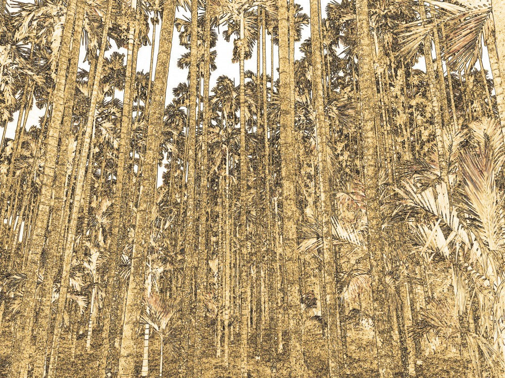 Golden Forest Depths