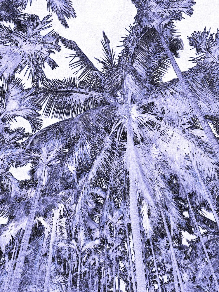 Tropical Dreamscape