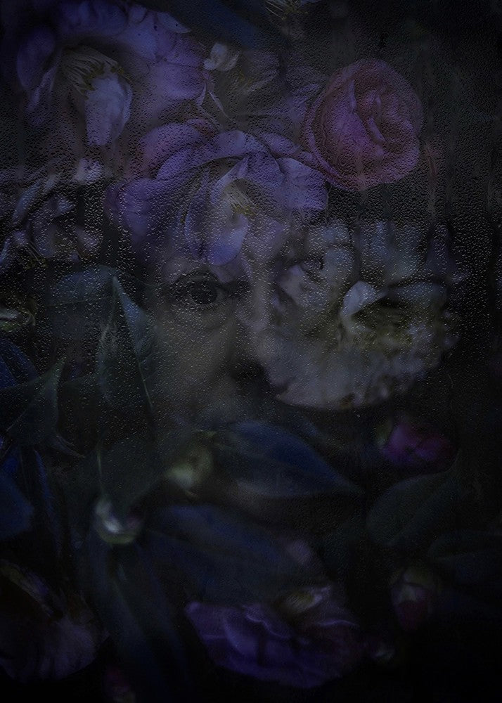 Hide III
