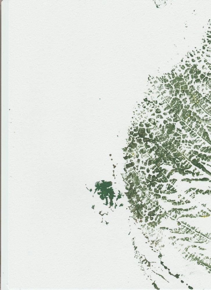 Fractals 3