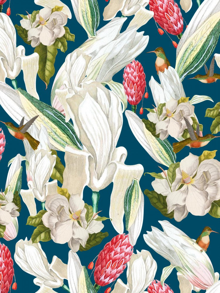 Colibríes Y Magnolias