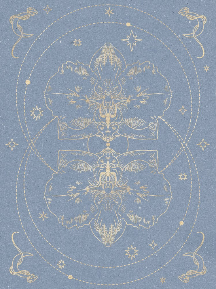 The mystical orchid