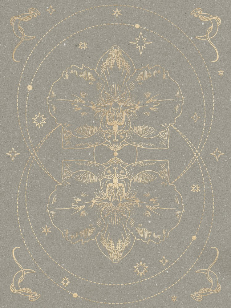 The mystical orchid
